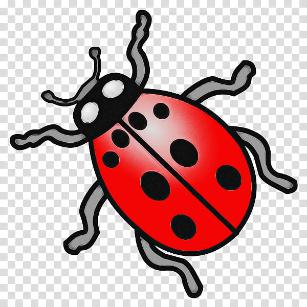Ladybug, Insect, Beetle, Leaf Beetle, Weevil transparent background PNG clipart