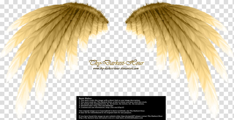 Simplistic Wing Golden, angel wing illustration transparent background PNG clipart