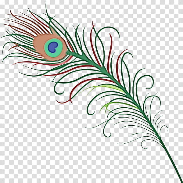 Peacock Drawing, Peafowl, Feather, Logo, Tattoo, Indian Peafowl, Peacock Feather Eye, Desi Natural Peacock Eye Feathers Tails transparent background PNG clipart