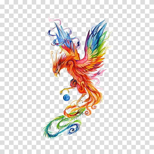 Pencil, Phoenix, Drawing, Colored Pencil, Watercolor Painting, Tattoo, Sleeve Tattoo transparent background PNG clipart