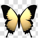 Butterfly Cam, ButterflyCam_Yellow_G icon transparent background PNG clipart