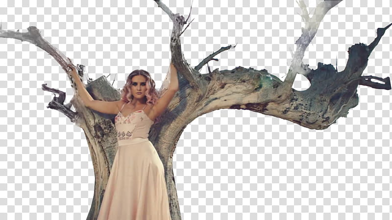 Little Mix, woman standing beside tree transparent background PNG clipart