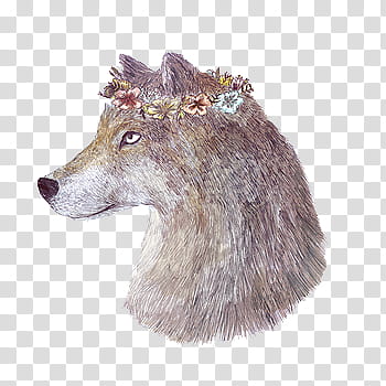 wolf with floral head piece painting transparent background PNG clipart