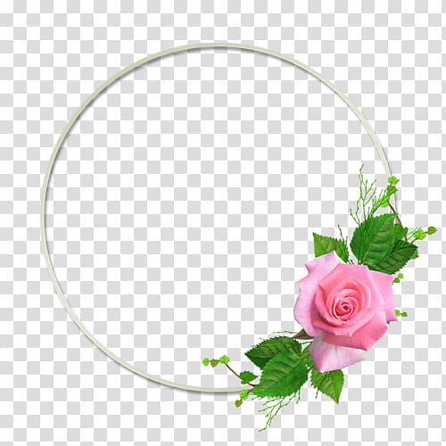 Floral Flower, Ballet, Marco Para Foto, Frames, Skirt, Pink, Rose Family, Garden Roses transparent background PNG clipart
