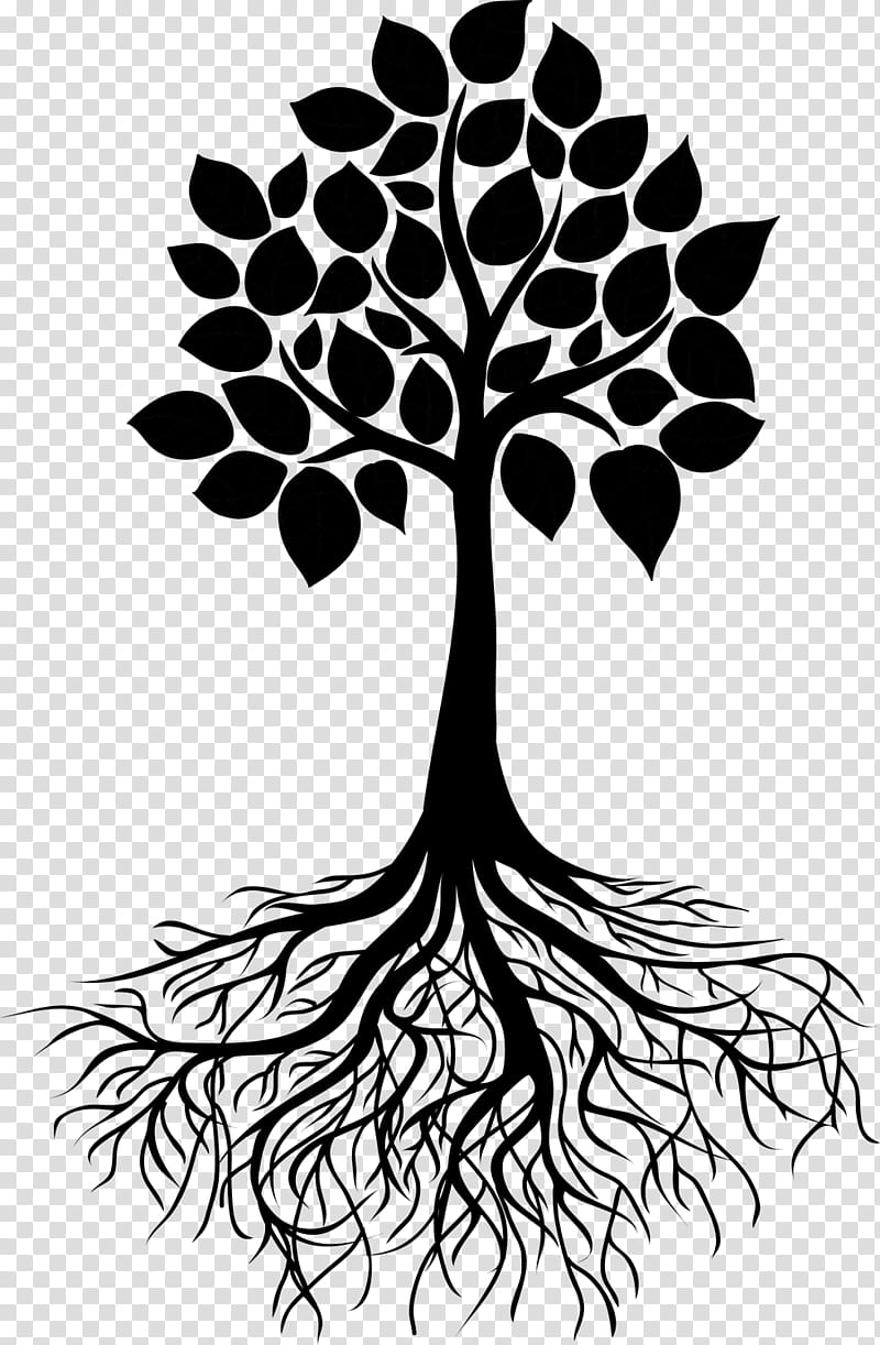 Tree Branch Silhouette, Drawing, Root, Painting, Line Art, Leaf, Blackandwhite, Plant transparent background PNG clipart