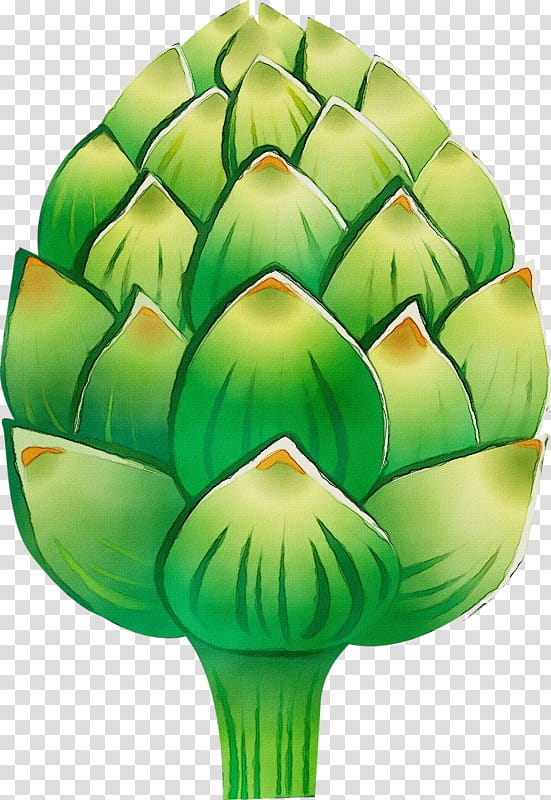 artichoke green leaf cynara, Watercolor, Paint, Wet Ink, Plant, Vegetable transparent background PNG clipart