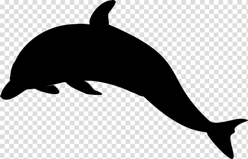 Whale, Sea Lion, Dolphin, Killer Whale, Silhouette, Black White M, Animation, Blog transparent background PNG clipart