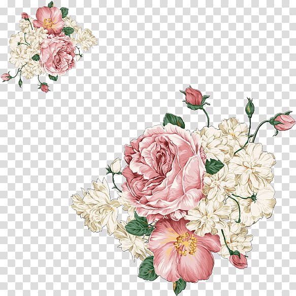 Bouquet Of Flowers Drawing, Moutan Peony, Rose, Garden Roses, Watercolor Painting, Sticker, Paeonia Sect Moutan, Cut Flowers transparent background PNG clipart