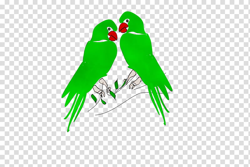 Bird Logo, Macaw, Parrot, Budgerigar, Beak, Parakeet, Lovebird, Monk Parakeet transparent background PNG clipart