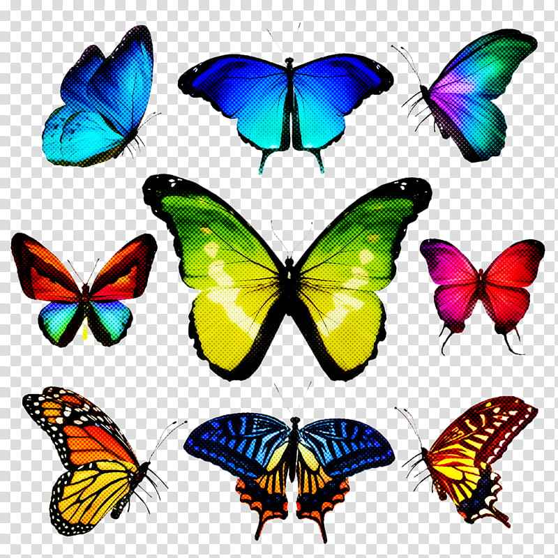 butterfly moths and butterflies insect pollinator brush-footed butterfly, Brushfooted Butterfly, Symmetry, Lycaenid, Animal Figure transparent background PNG clipart
