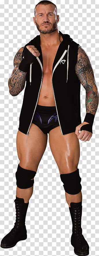 Randy Orton Render transparent background PNG clipart