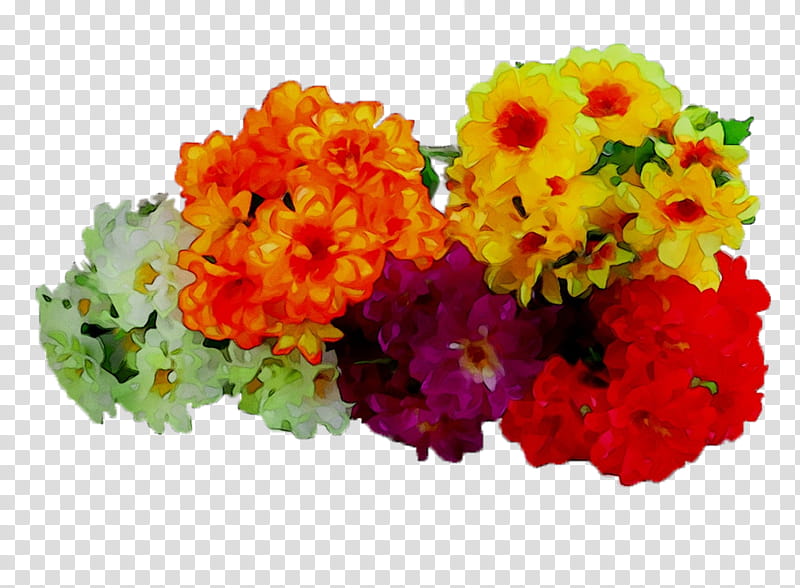 Flowers, Primrose, Yellow, Cut Flowers, Chrysanthemum, Annual Plant, Plants, Tagetes transparent background PNG clipart