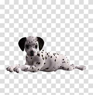 Puppy 4 transparent background PNG clipart thumbnail