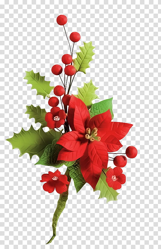 Christmas, red poinsettia flower transparent background PNG clipart