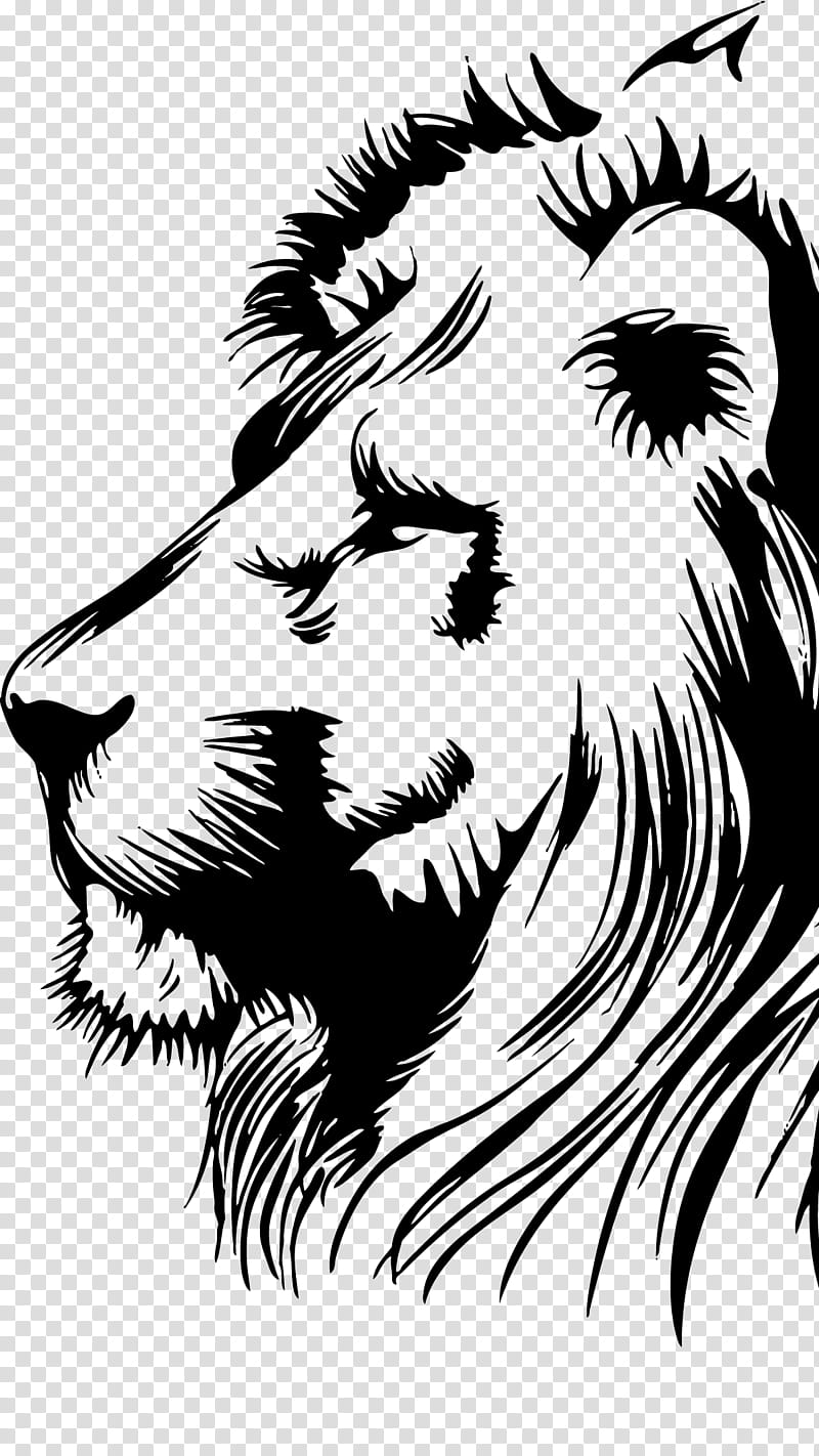 Lion Drawing, Lionhead Rabbit, Lion Of Judah, Leo, Sticker, Blackandwhite, Nose, Facial Hair transparent background PNG clipart