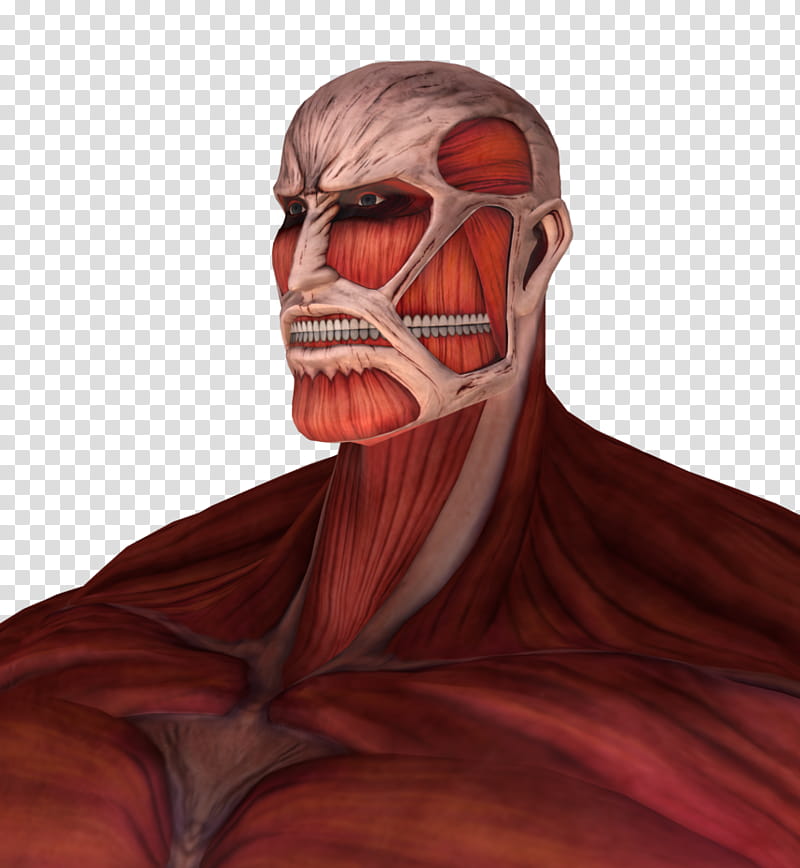 Colossal Titan dl transparent background PNG clipart