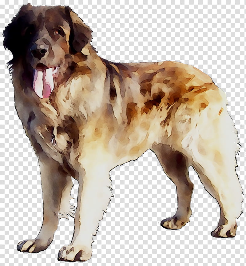 Gun, Moscow Watchdog, Companion Dog, Ancient Dog Breeds, Gun Dog, Sporting Group, Giant Dog Breed, Rare Breed Dog transparent background PNG clipart