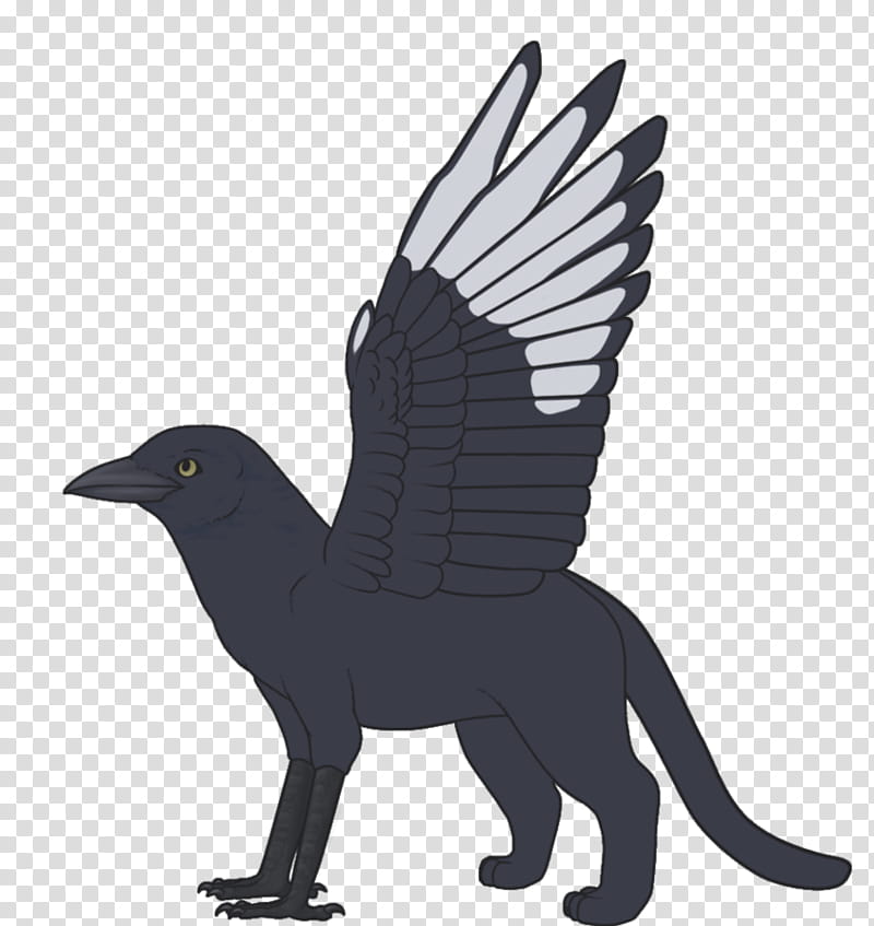 WIP Magpie Gryphon transparent background PNG clipart