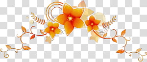 Orange, Flower Border, Flower Background, Watercolor, Paint, Wet Ink, Plant, Petal transparent background PNG clipart thumbnail
