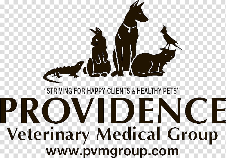 Cat Silhouette, Horse, Logo, Pet, Hospital, Nash Finch Company, Text, Black And White transparent background PNG clipart