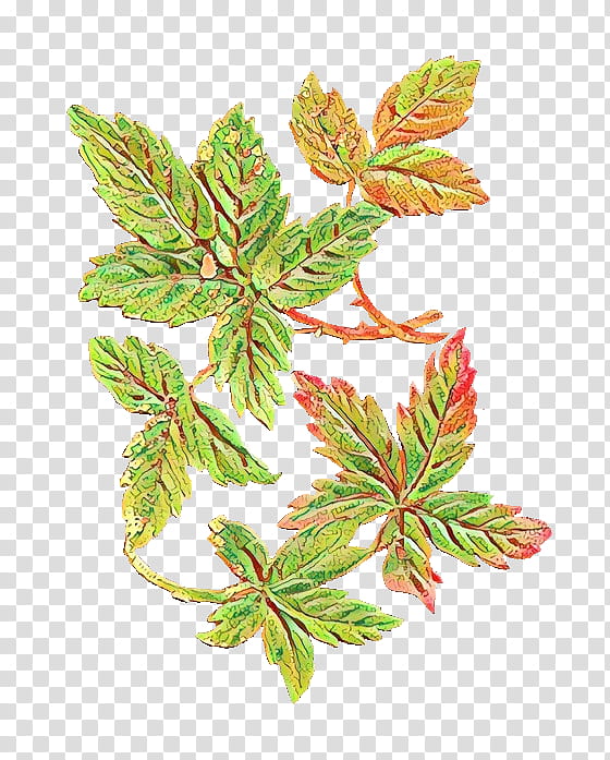 Watercolor Flower, Leaf, Watercolor Painting, Plants, Plant Stem, Cartoon, Cinquefoil, Geranium transparent background PNG clipart