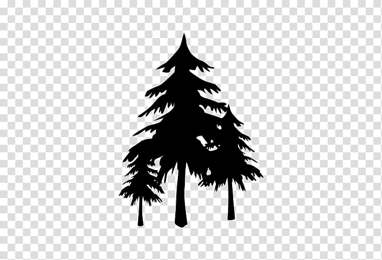 School Black And White, , Cedar Park High School, Royaltyfree, Drawing, Tree, White Pine, Colorado Spruce transparent background PNG clipart