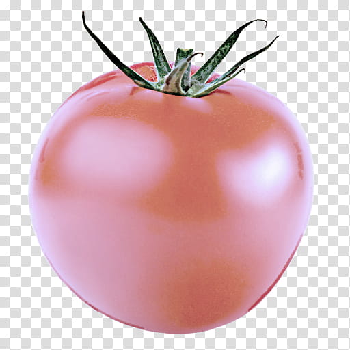 Tomato, Solanum, Fruit, Plant, Vegetable, Plum Tomato, Pink, Natural Foods transparent background PNG clipart