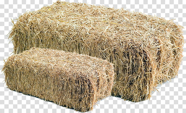 Straw, Hay, Fodder, Rabbit, Live, Ranch, Advertising, Cabo Rojo transparent background PNG clipart