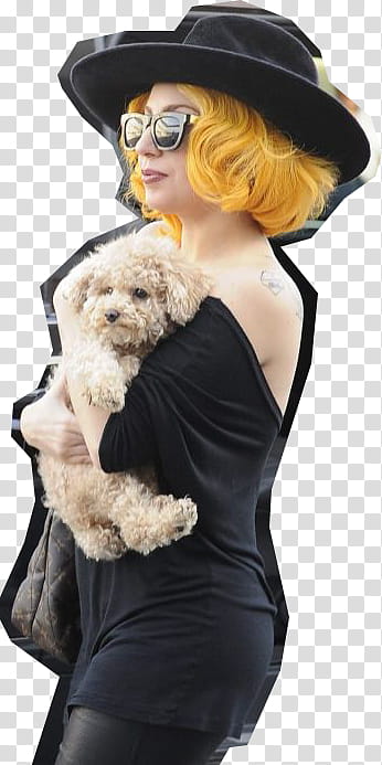 Lady Gaga en Viena Austria transparent background PNG clipart