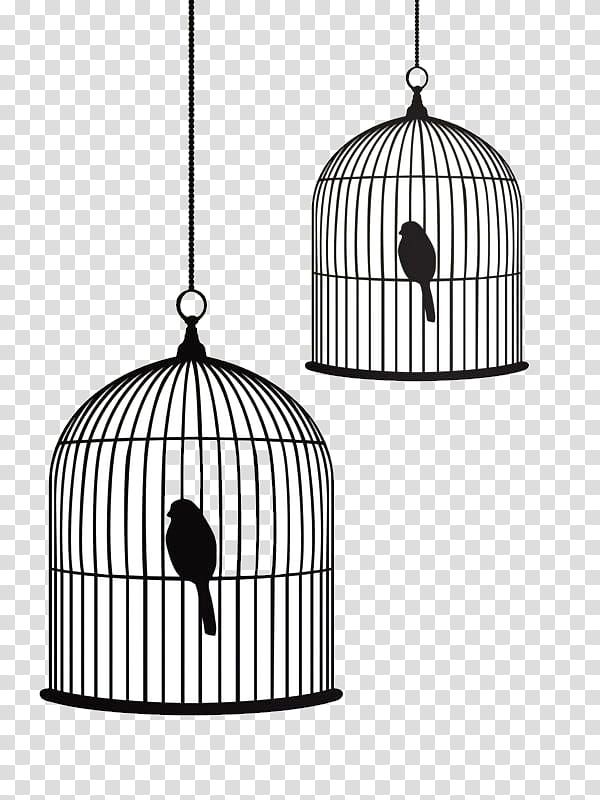 Bird Line Drawing, Birdcage, Stencil, Silhouette, Wall Decal, Logo, Aviary, Bird Houses transparent background PNG clipart