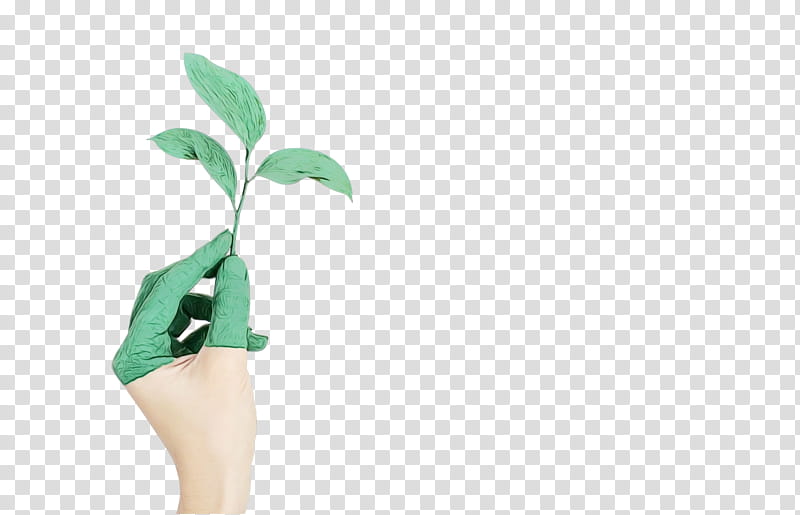 Green Leaf, Organization, World, Sustainability, Technology, Innovation, Mindset, Npm transparent background PNG clipart
