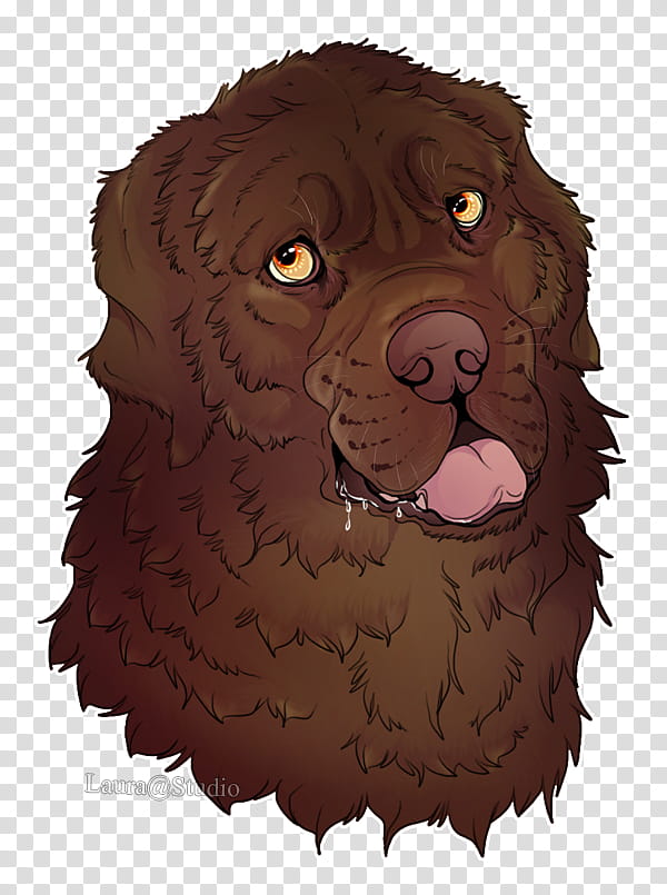 River, Boykin Spaniel, Newfoundland Dog, Puppy, Boykin Kershaw County South Carolina, Gun Dog, Breed, Snout transparent background PNG clipart