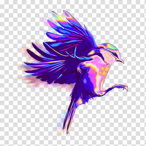 Tweety Bird, Beak, Feather, Animal, Purple, Violet, Wing transparent background PNG clipart
