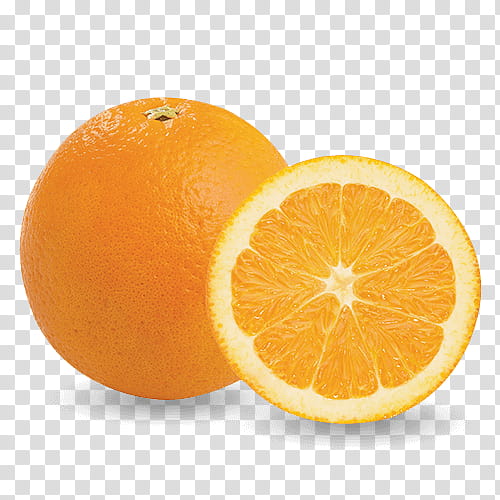 Lemon, Clementine, Mandarin Orange, Tangelo, Valencia Orange, Tangerine, Fruit, Cara Cara Navel transparent background PNG clipart