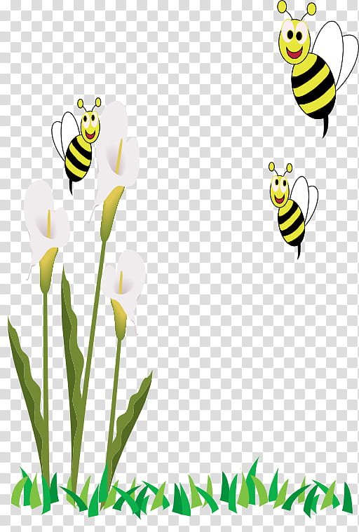 Flower Stem, Honey Bee, Insect, Cartoon, Drawing, Honeybee, Bumblebee, Yellow transparent background PNG clipart