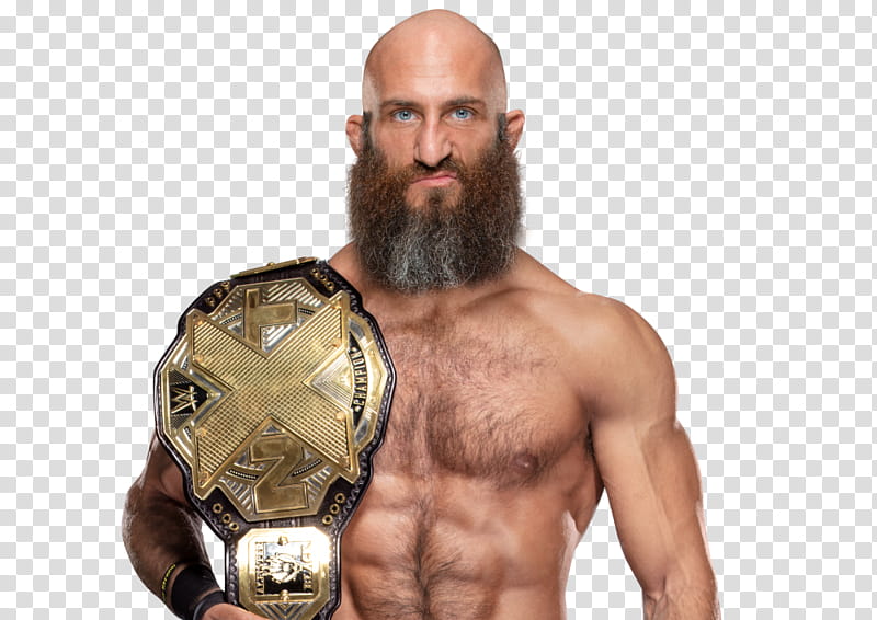 Tommaso Ciampa transparent background PNG clipart