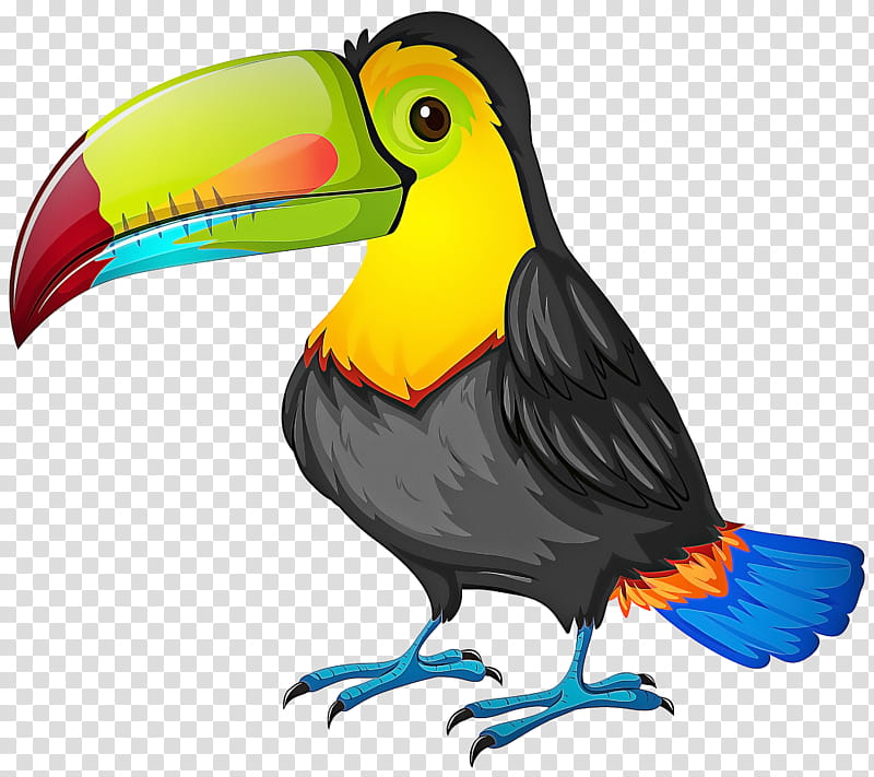Hornbill Bird, Toucan, Parrot, Toco Toucan, Cartoon, Beak, Keelbilled Toucan, Drawing transparent background PNG clipart