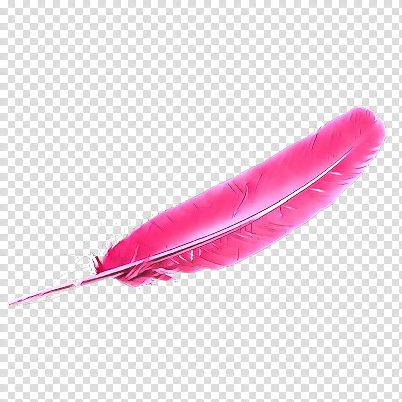Feather, Cartoon, Pink, Quill, Magenta, Fashion Accessory, Pen, Writing Implement transparent background PNG clipart