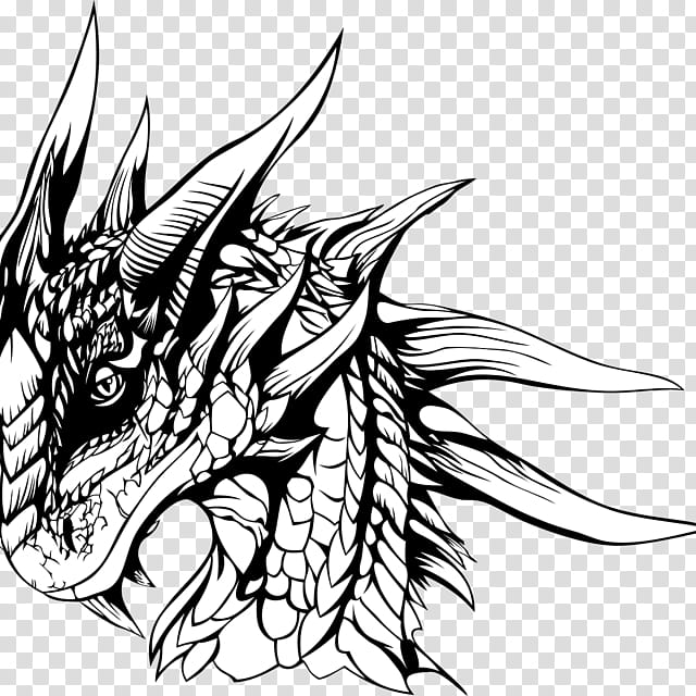 Dragon Drawing, Pencil, Line Art, Painting, Art Museum, Head, Blackandwhite, Horn transparent background PNG clipart