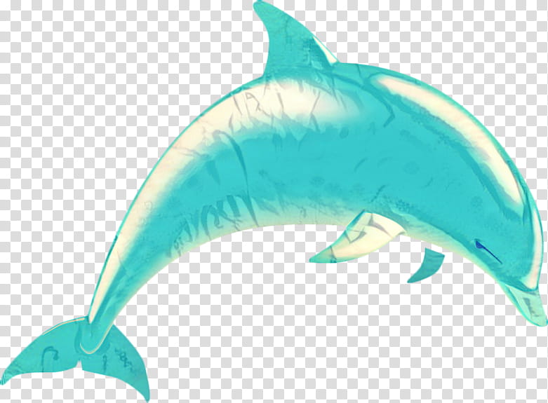 Dolphin, Shortbeaked Common Dolphin, Roughtoothed Dolphin, Silhouette, Drawing, Whales, Sea, Bottlenose Dolphin transparent background PNG clipart