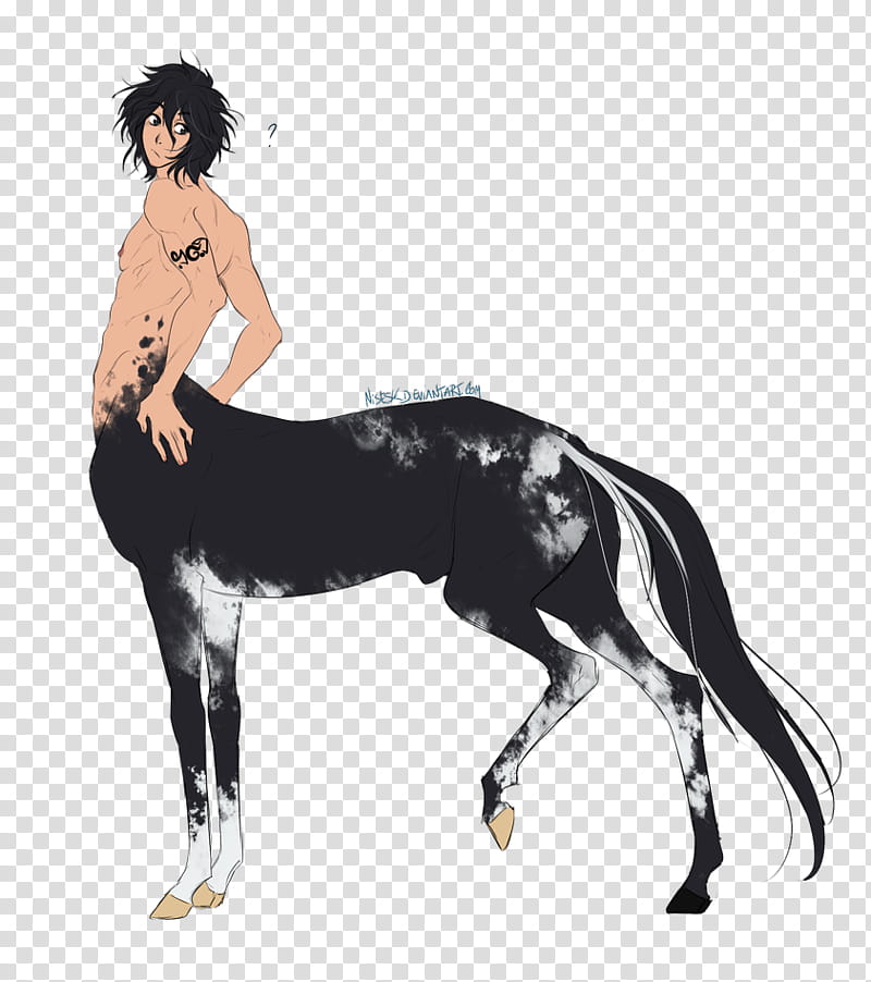 Wynta, dafuck is that, centaur illustration transparent background PNG clipart