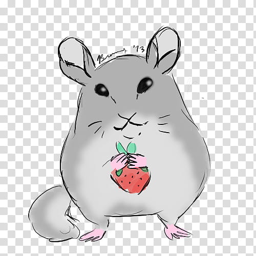 Hamster, Chinchilla, Drawing, Gerbil, Rat, Rabbit, Cartoon, Cuteness transparent background PNG clipart