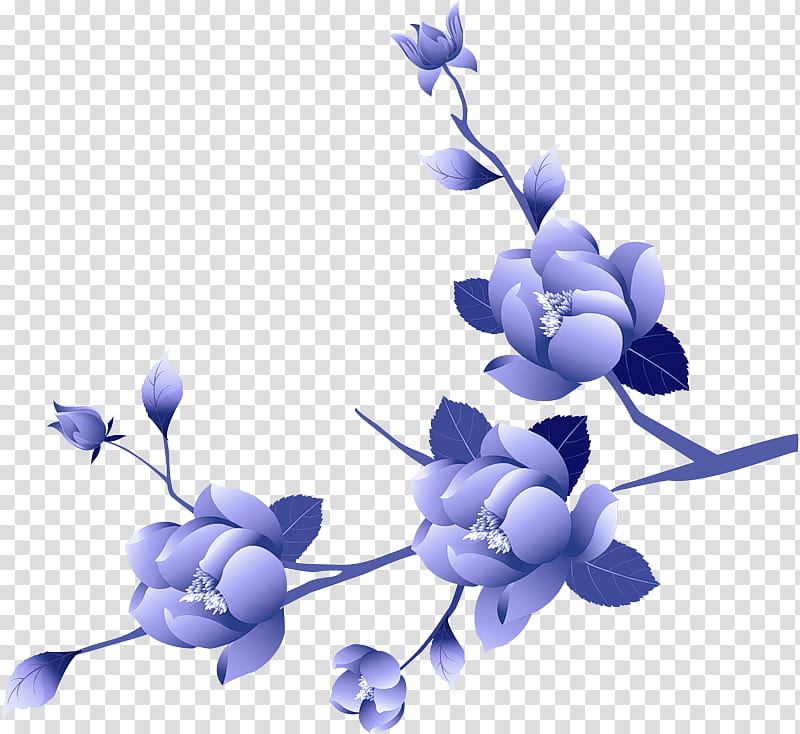 Lavender, Blue, Flower, Plant, Violet, Lilac, Purple, Branch transparent background PNG clipart