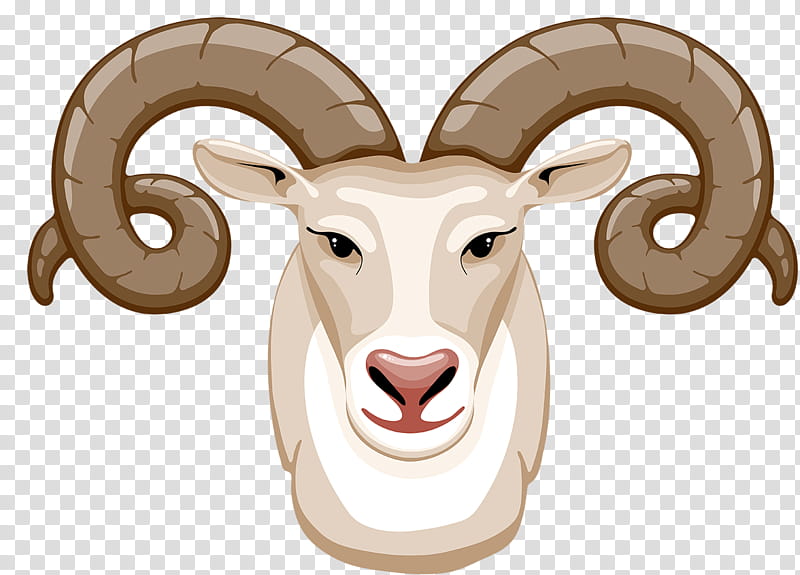 Drawing Of Family, Sheep, Goat, Cartoon, Horn, Goats, Head, Live transparent background PNG clipart