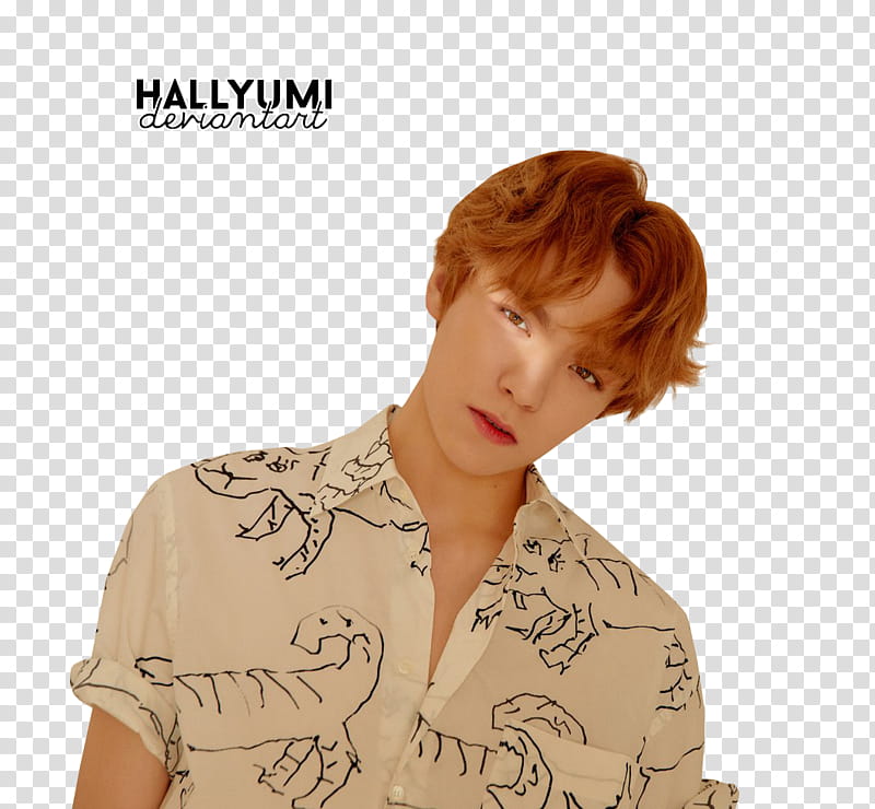 SEVENTEEN You Make My Day Meet Ver, BTS band member transparent background PNG clipart