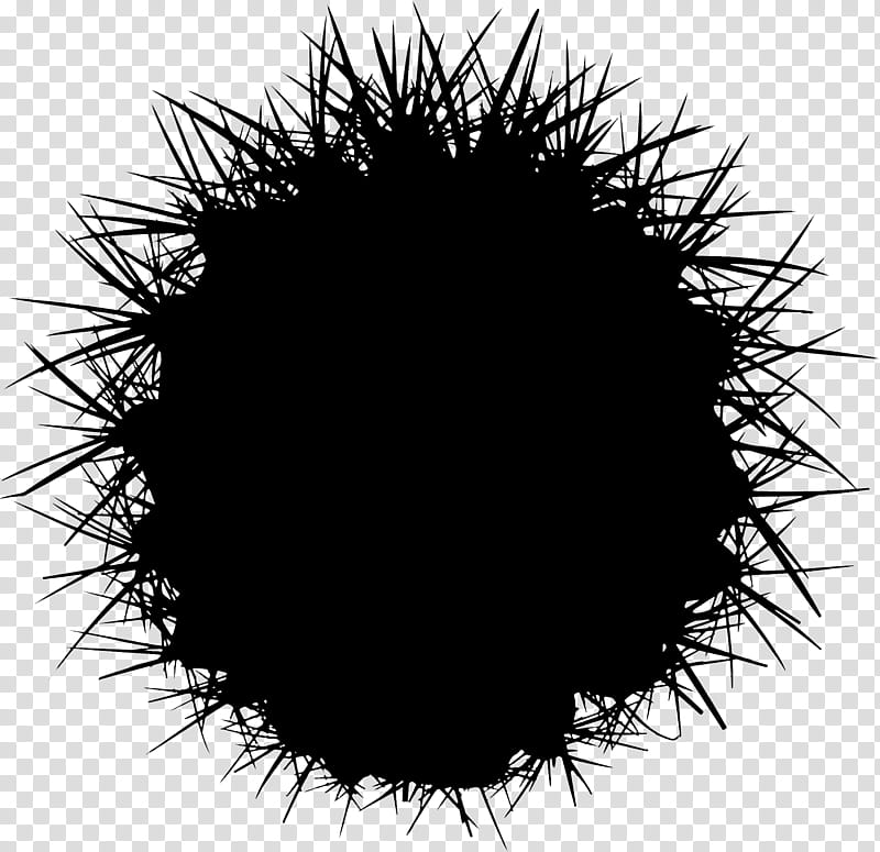 Black Circle, Computer, Black M, Sea Urchin, Thorns Spines And Prickles transparent background PNG clipart