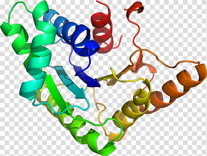 Science, Drug Discovery, Protein, Protein Tyrosine Phosphatase, Estrogen Receptor, Homology Modeling, Enzyme Inhibitor, Active Site transparent background PNG clipart