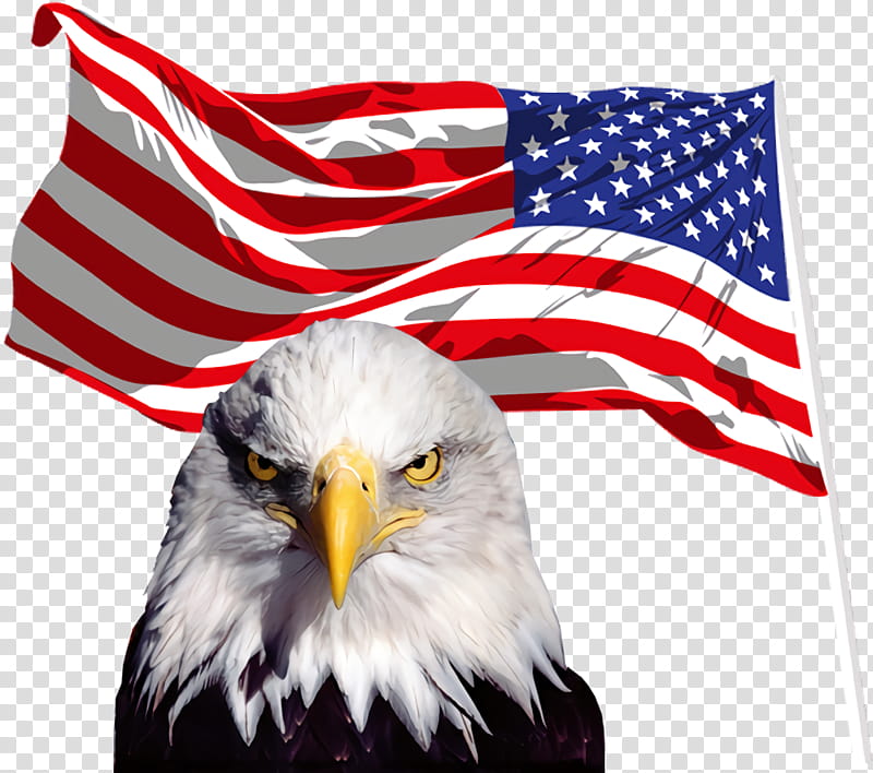 Veterans Day United States, Fourth Of July, 4th Of July, Independence Day, American Flag, Eagle, Top, Shirt transparent background PNG clipart