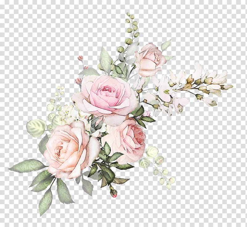 Garden roses, Flower, Cut Flowers, Pink, Plant, Rose Family, Bouquet transparent background PNG clipart