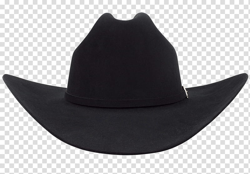 Cowboy Hat, Fedora, Stetson, Stetson El Patron 30x Felt Hat, Beaver Hat, Clothing, John B Stetson Company, Costume Hat transparent background PNG clipart